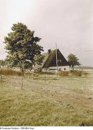 Zinnwald-Georgenfeld. Anwesen mit Ahorn in Altgeorgenfeld