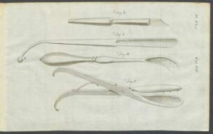 IV. Theil. Tab. VI.