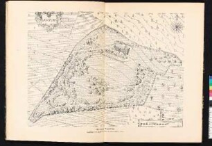 Heilstätte Engelthal. Lageplan des Grundbesitzes im Maassstab 1:2000.