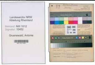 Entnazifizierung Antonie Gruenewald , geb. 03.08.1901 (Kindergaertnerin)