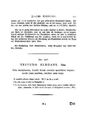 Tab. XXV. Testudo Elegans Sebae : Die zierliche Schildkröte