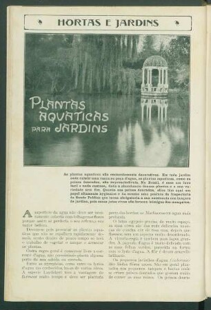 Hortas e jardins : Plantas aquaticas para jardins