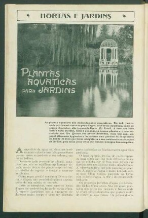 Hortas e jardins : Plantas aquaticas para jardins