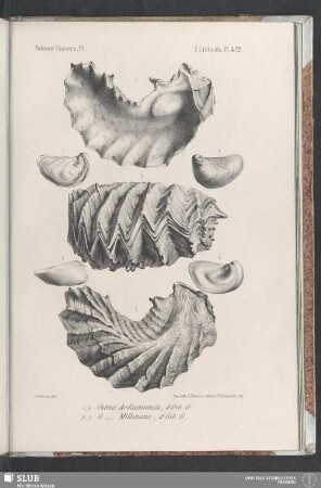 Pl. 472