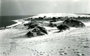 Nehrungslandschaft am Haff, Kurische Nehrung