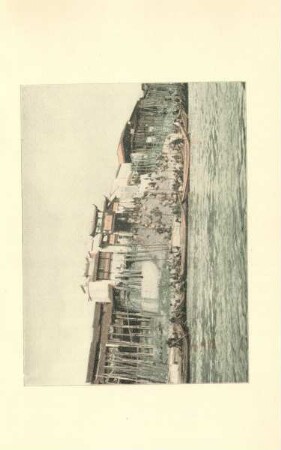 A village on the river bank