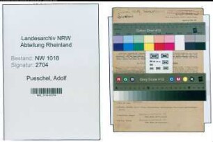 Entnazifizierung Adolf Pueschel , geb. 05.11.1888 (Lehrer)