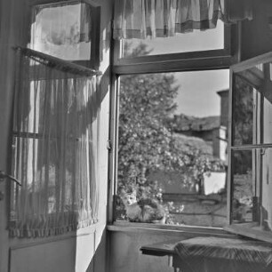 Blick aus dem Fenster eines Wohnhauses in Plowdiw