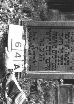 Grabstein 64 (Index: 100106529) Material: Sandstein Zustand: leicht verwittert, Mittelaufsatz fehlt Maße HxBxT: 133x50x14 cm Beschreibung: Stele mit Mittelerhöhung, beide mit Verdachung (Walm), Mittelaufsatz fehlt, Schriftfeld in Maßwerkform eingetieft, getreppter Sockel Symbolik: floral: Grabstein 64A