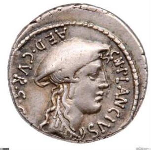 Römische Republik: Gn. Plancius