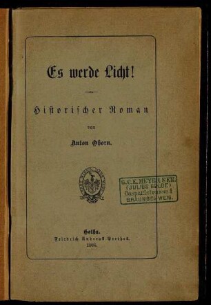 Es werde Licht! : historischer Roman