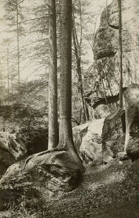 Elbsandsteingebirge. Am Winterbergquell