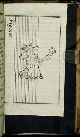 Fig. XXI.