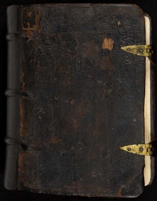 Psalterium cum canticis et annexis : Ms. Diez. C oct. 14