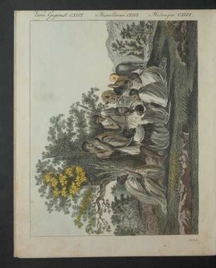 Tafel: Verm. Gegenst. CXLVI. [...]