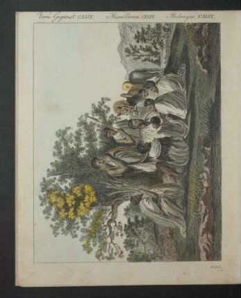 Tafel: Verm. Gegenst. CXLVI. [...]