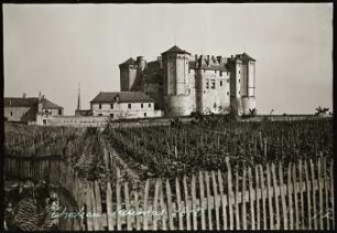 Schloss Saumur