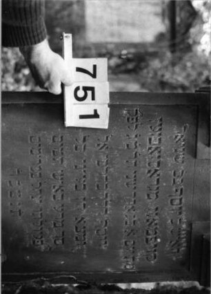Grabstein 751 (Index: 99802210) Material: Sandstein Zustand: gut Maße HxBxT: 136x52x14 cm Beschreibung: Stele mit eingezogenem verdachtem Rundbogen, Seitenakroterien, profilierter Rand Besonderheit: Endrei,: Grabstein 751 (Detailaufnahme)