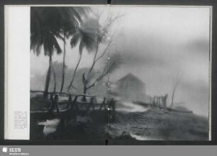 Hurrikan auf Tobago