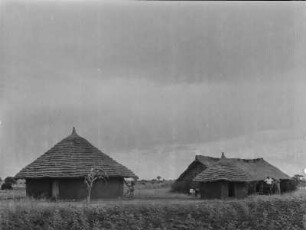 Gehöft : Gehöft mit Stallungen in der Shinyanga Region