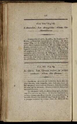 Tab. XIV. Fig. 69. - Tab. XVIII. Fig. 96.