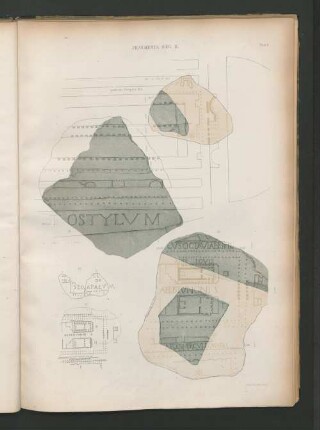 Fragmenta Reg IX.