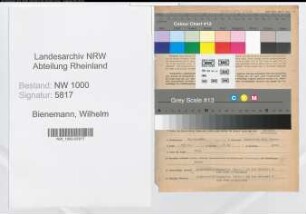Entnazifizierung Wilhelm Bienemann, geb. 16.10.1888 (Telegrafensekretaer)