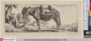 [The resting peasant and the saddled donkey; Der ruhende Bauer mit dem gesattelten Esel]