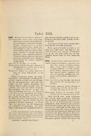 Iconographie der Land- und Süsswasser-Mollusken : mit vorzügl. Berücksichtigung d. europäischen noch nicht abgebildeten Arten. Textbd., NF, 2. 1886