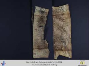 Der Renner (Hugo von Trimberg), Fragment