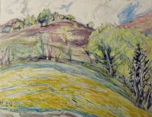 Gelbe Wiese am Belchen - Schwarzwald