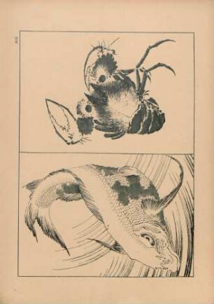 BID [Poisson et Crustacé, par Hokusai]