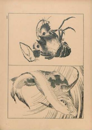 BID [Poisson et Crustacé, par Hokusai]