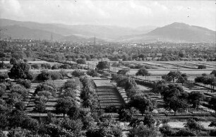 Denzlingen: Fernsicht nach Freiburg