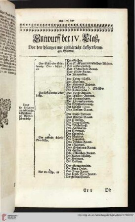 Entwurff der IV. Claß