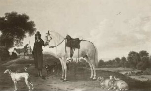 Der Schimmel mit dem Reitknecht
