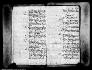 Einrichtung der Statuten des Domkapitels zu Magdeburg