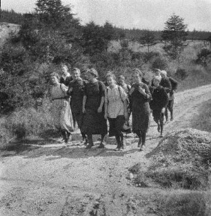 Gruppe beim Wandern