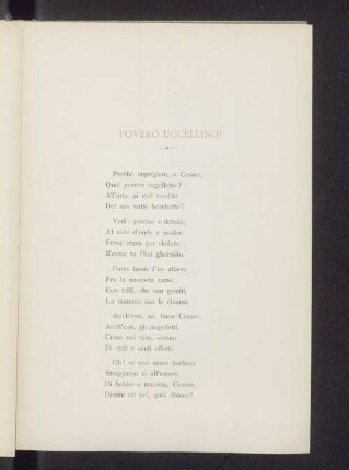 Povero uccellino!