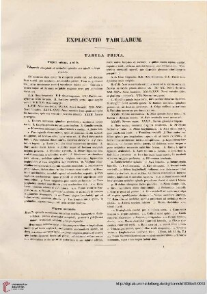Explicatio tabularum