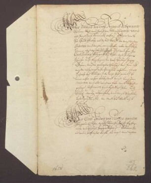 Friedrich Rohrmann und Genossen reversieren gegenüber Kurfürst Karl Ludwig von der Pfalz wegen der Fischreuße bei Wieblingen, genannt die lange Zeil.