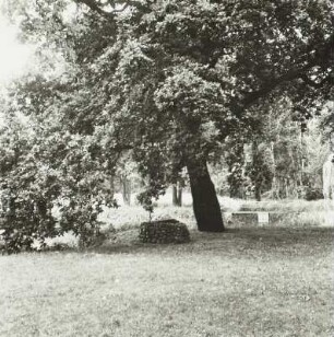 Schloss Raakow