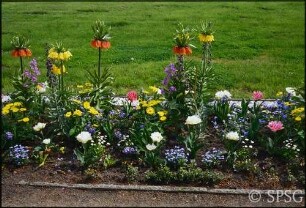 Potsdam, Park Sanssouci, westlicher Lustgarten, Blumenbepflanzung.