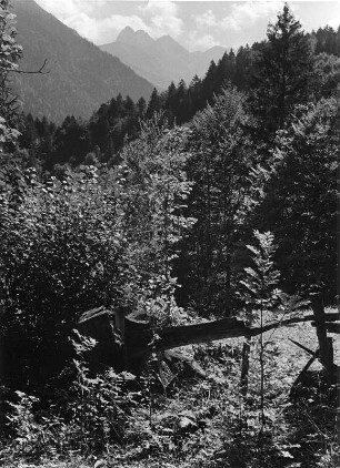 Gebirgslandschaft, Auschnitt (vielleicht in den Allgäuer Alpen)