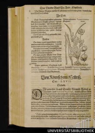 Cap. LXVII. Von Roemischem Fellriß.