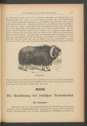 Die Bevölkerung des britischen Nordamerikas.
