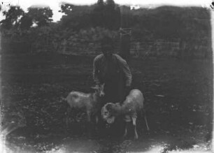 Junge mit Ziege : Portrait eines Jungen der Chagga mit Schaf und Ziege