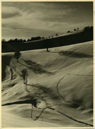 Sonniger Wintertag im Schwarzwald