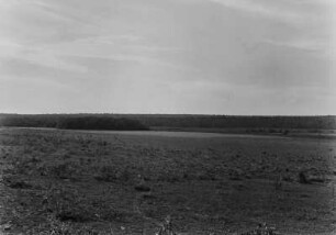 Landschaft des Paranal : Vegetation am südlichen Ende des Pantanal, nahe der Stadt Aquidauana. Im Hintergrund ein Fluss und ein Galeriewald.