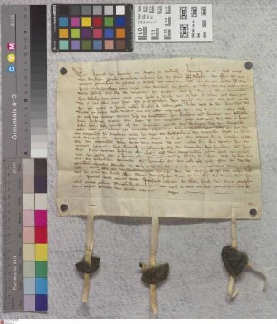 Hainer Hof: Hartmuds v. Cronenberg Burggraf zu Starkenburg, Heinrich Rint und Conrad v. Werberg schiedsrichterlicher Entscheid zwischen dem Kloste...